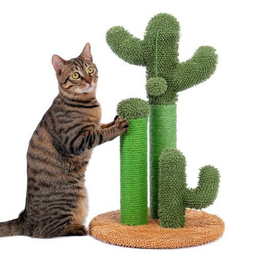 Cactus Shaped Cat Scratching Post iLovPets.com