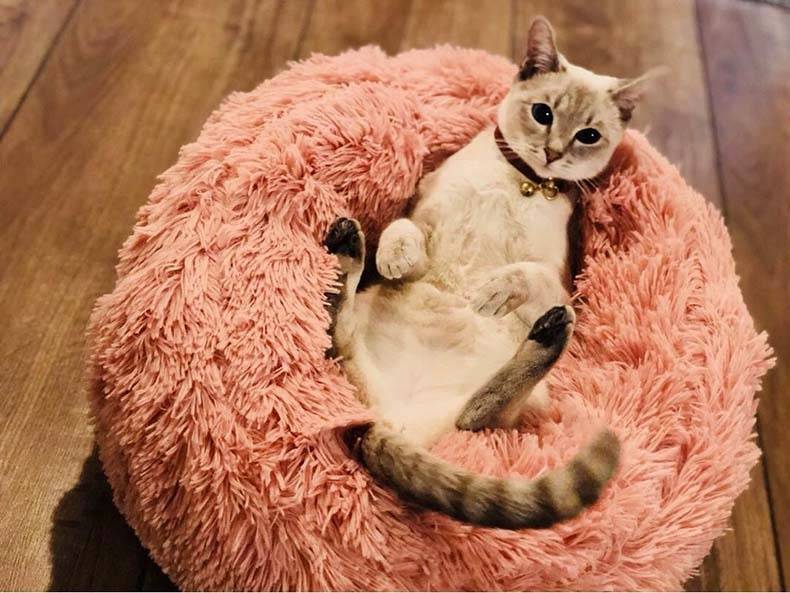 Pet’s Round Shaped Fluffy Bed iLovPets.com